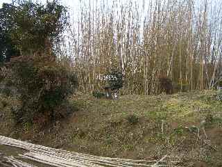 c0051112_22593473.jpg