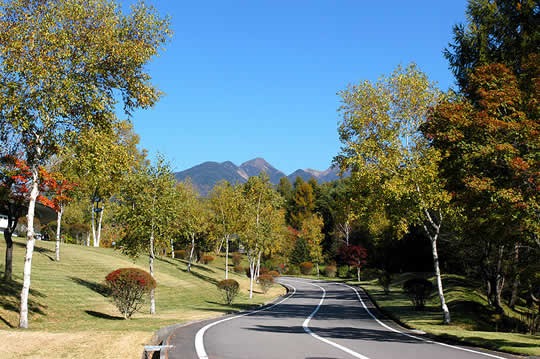紅葉の情報 _d0109415_18374564.jpg