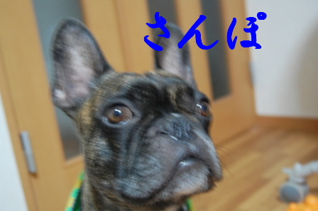 c0130324_01536.jpg