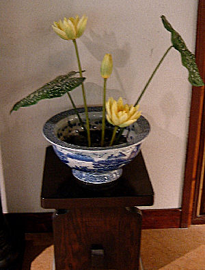 c0069036_23313649.jpg