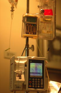 e0052044_31252.jpg