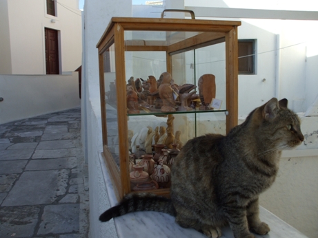 船旅報告 ギリシャ行ってました_a0087957_2404516.jpg