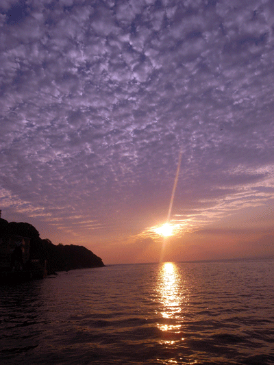 b0037160_1454179.gif