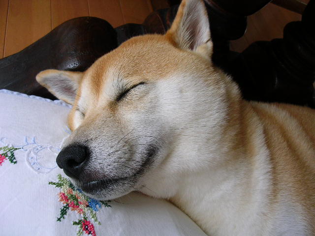 10月26日(金)台風到来_f0060461_2214551.jpg