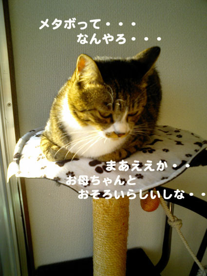 a0084070_2148284.jpg
