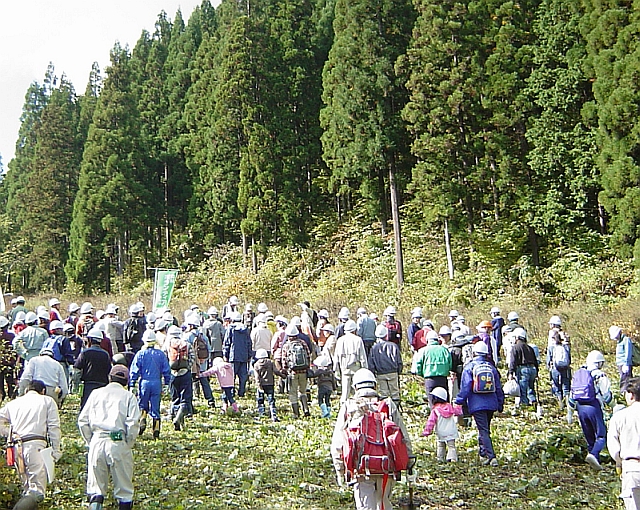 d0121593_11293839.jpg