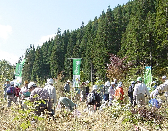 d0121593_11295471.jpg
