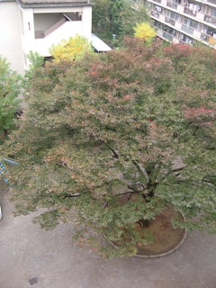 c0099395_14434221.jpg