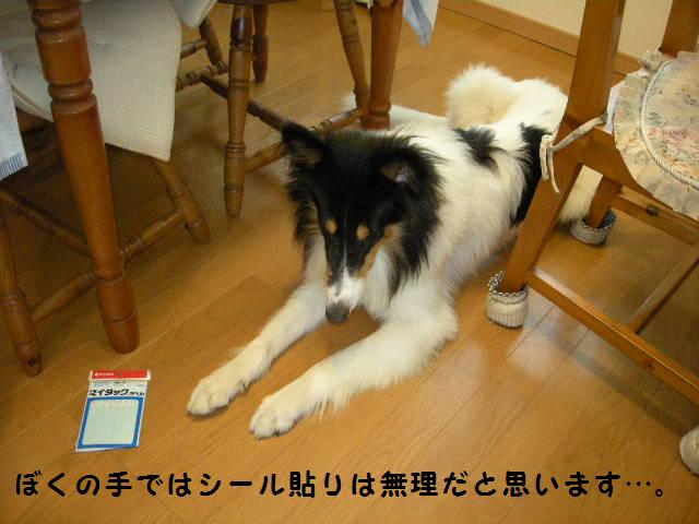f0081100_21123669.jpg