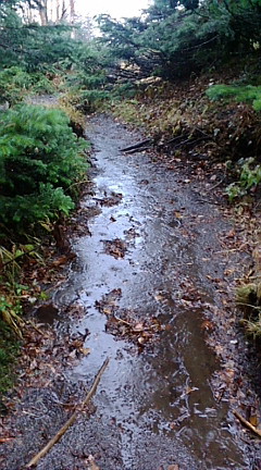 e0028904_21434473.jpg