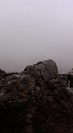 e0028904_2144328.jpg