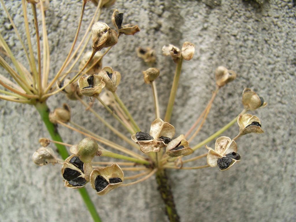 冬目前_c0025115_1628850.jpg