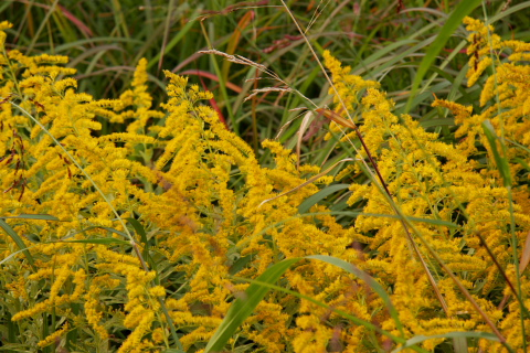 b0065717_20422479.jpg