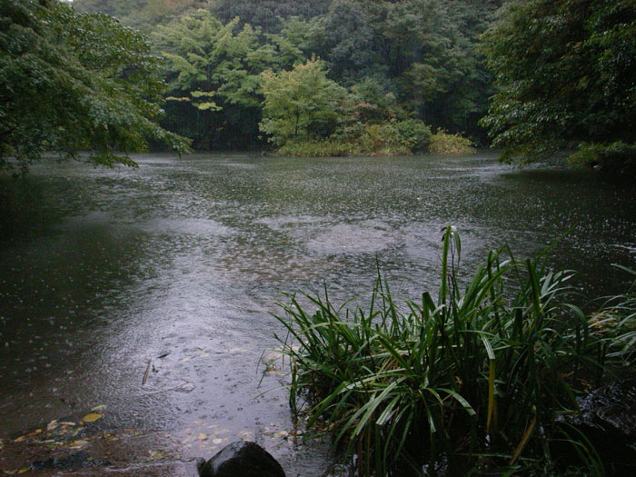 台風で雨が強い_f0067724_20204750.jpg