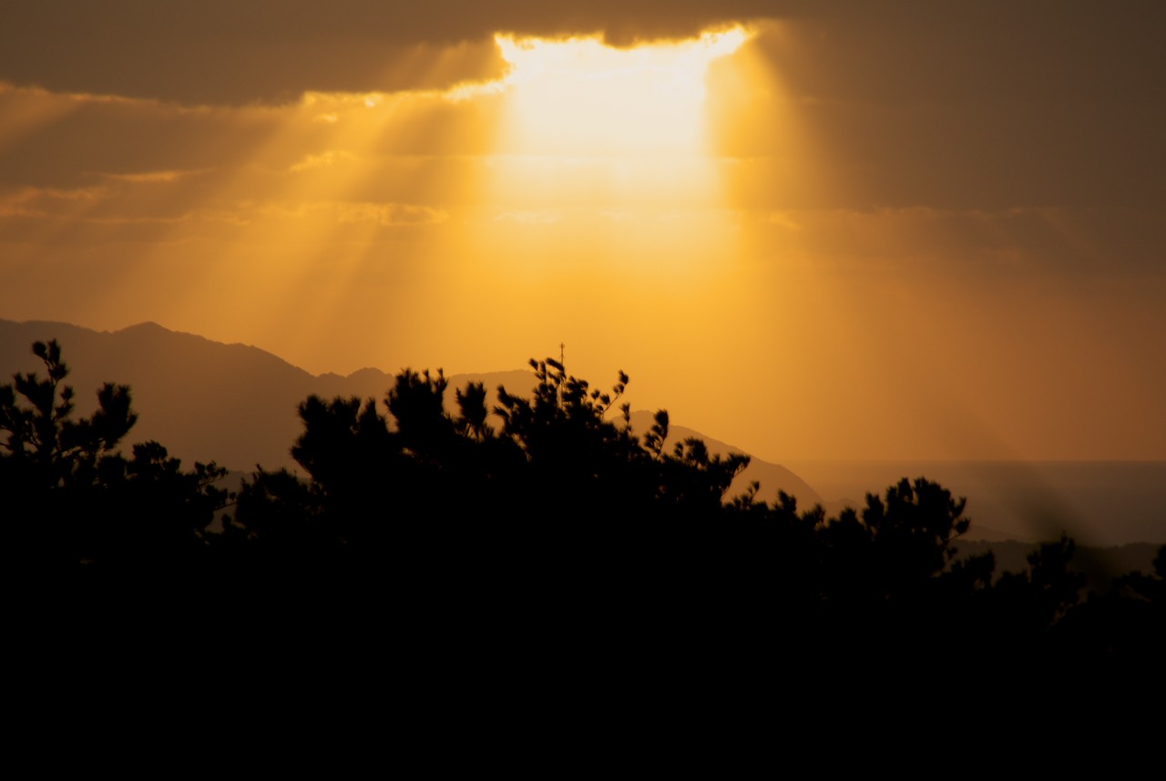 今日の夕景_d0053930_2030259.jpg