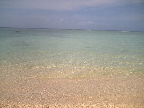 b0086931_11433166.jpg