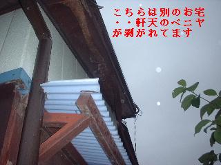 雨の中・・・_f0031037_10471852.jpg