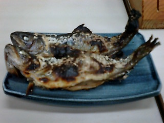 a0049739_2202569.jpg