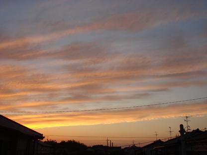 a0014840_0462912.jpg