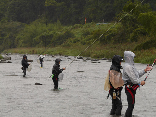 雨、風に打たれても、鮎釣りって、楽しい〜♪_a0056140_22221013.jpg