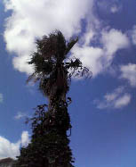 f0084643_14373282.jpg