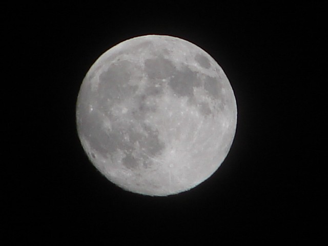 b0061261_2117281.jpg