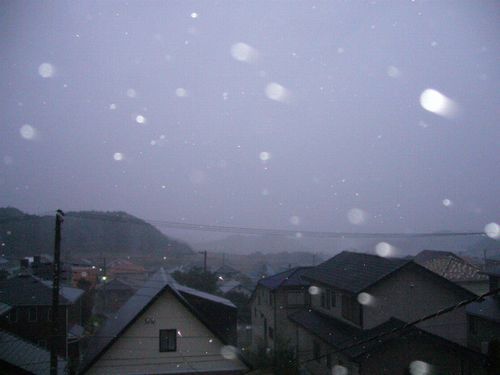 2007年10月27日(土)台風20号到来_f0060461_2073885.jpg
