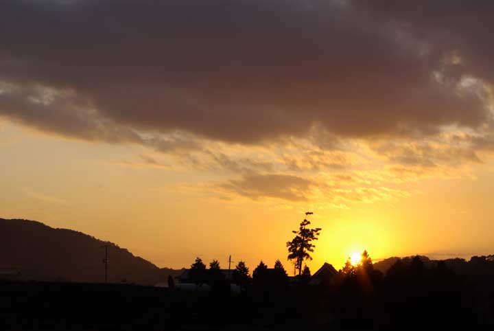 e0019563_7371252.jpg