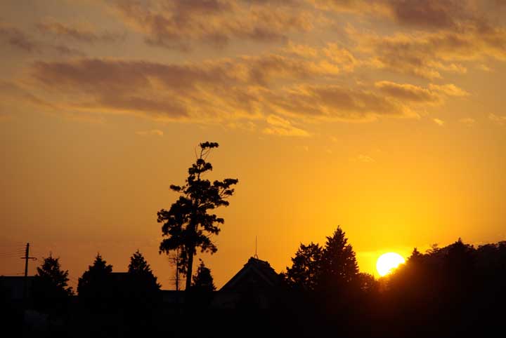 e0019563_738222.jpg
