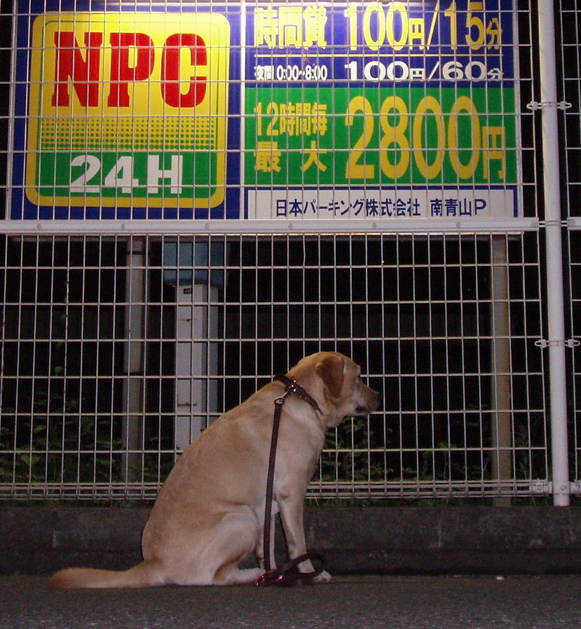 f0052277_22443.jpg