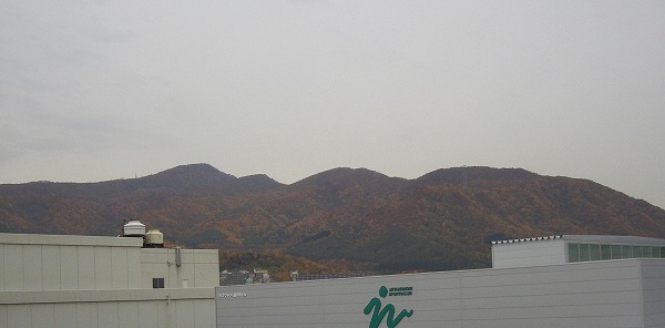b0003280_08393.jpg
