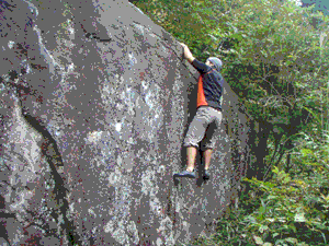 a0098690_18325445.gif