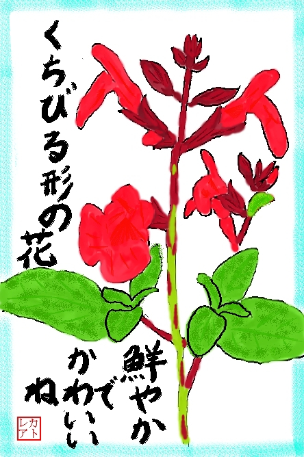 絵手紙 秋 ギンナン チェリーセージ サルビア ミクロフィラ シソ科 花と自然の散歩道