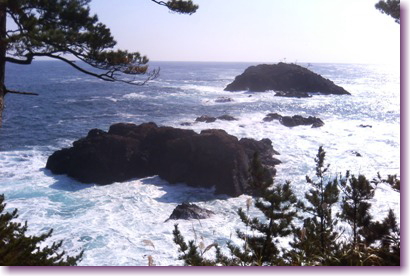 c0048701_21584866.jpg