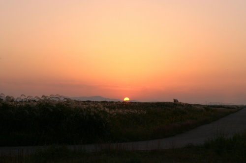 すすきの向こうに沈む夕日_e0092203_2344283.jpg