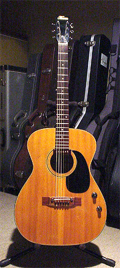 初めてのギター『Thomas EF-190』 : アコースティックな風