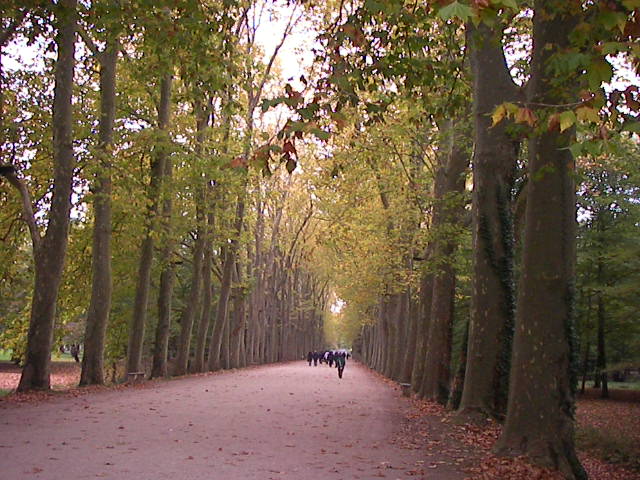 f0038407_4304593.jpg