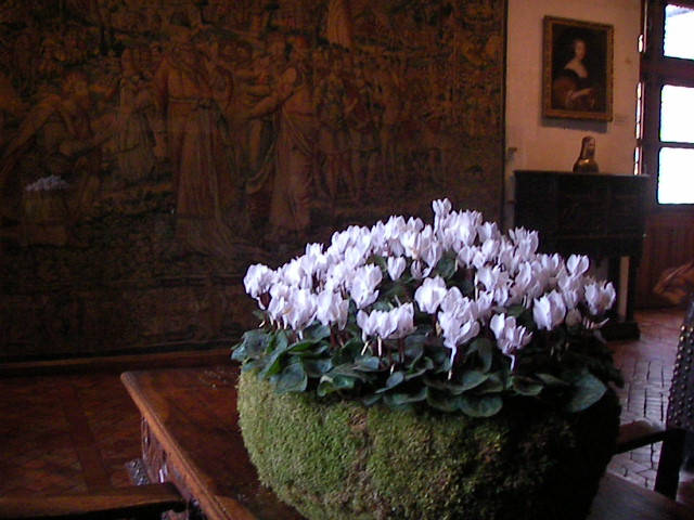 f0038407_432088.jpg