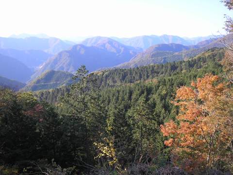 d0115409_2332912.jpg