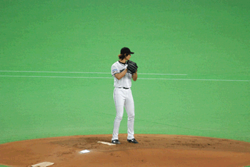 e0126914_1010544.gif