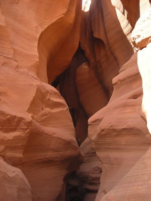 ザイオン国立公園（Zion National Park)　２日目_a0095115_957637.jpg