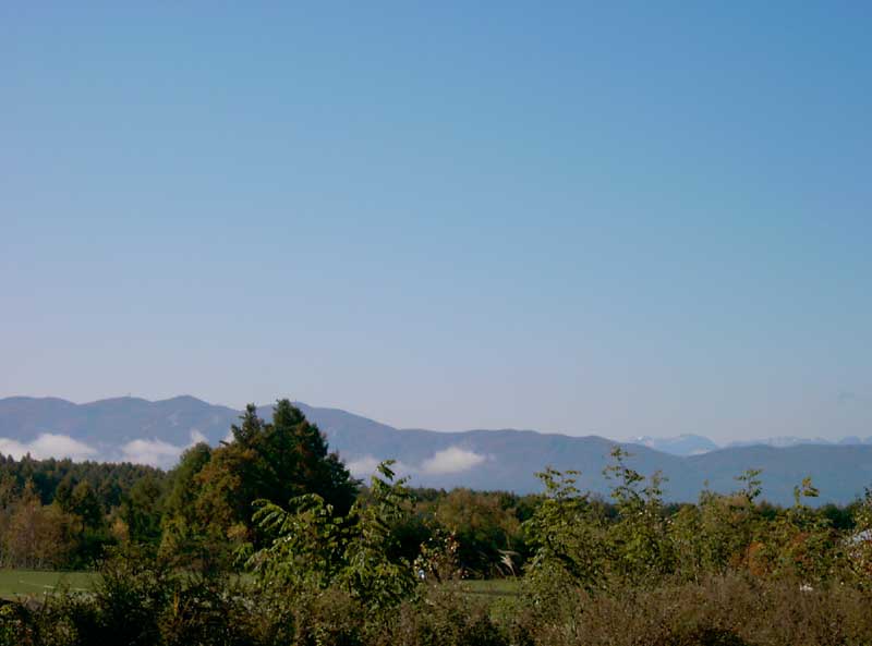d0109415_11512515.jpg