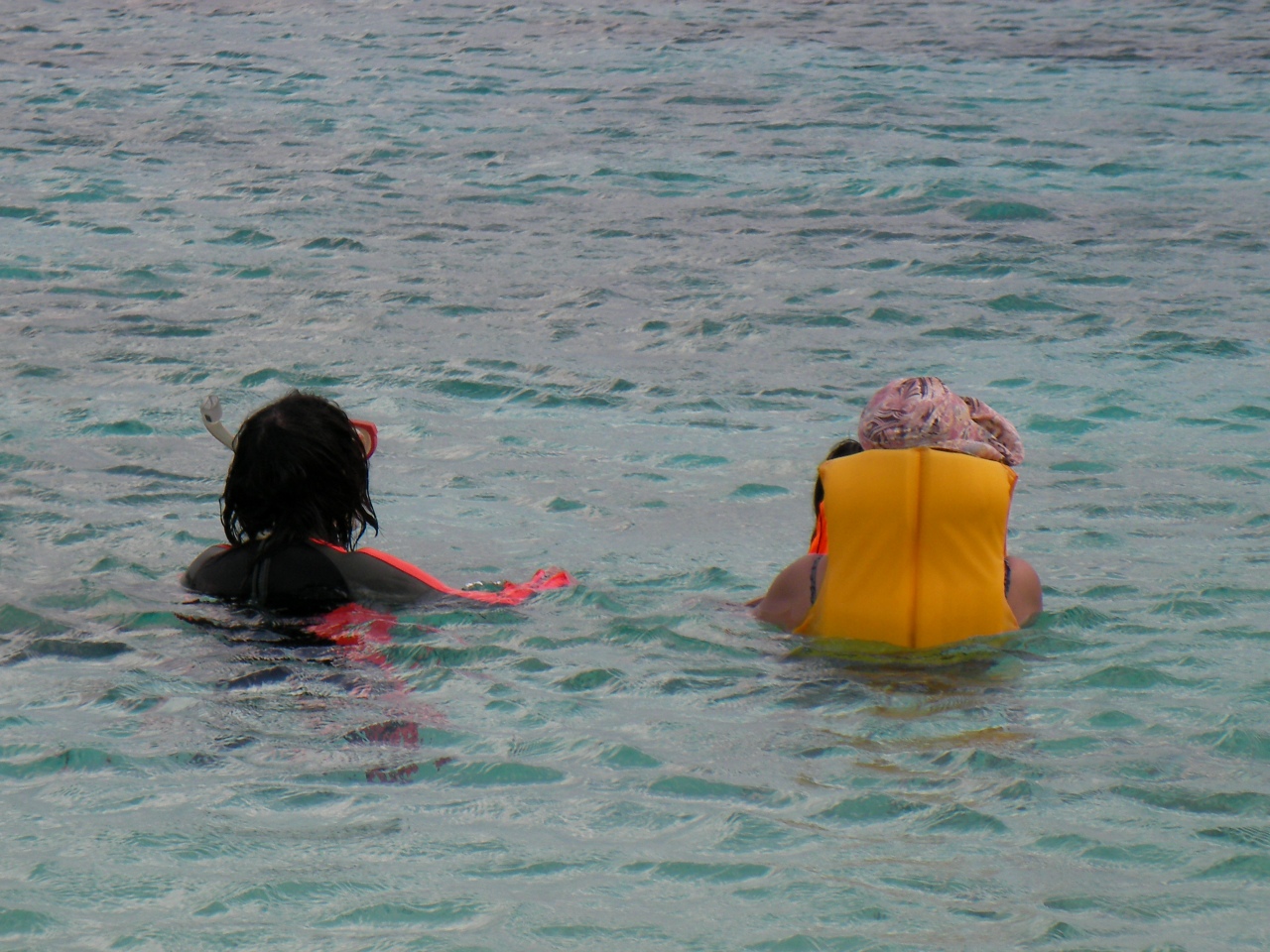 a0008523_12482.jpg