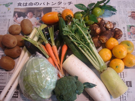 野菜三昧_d0000135_2334738.jpg