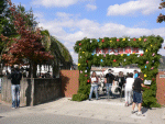 e0105340_2314357.gif