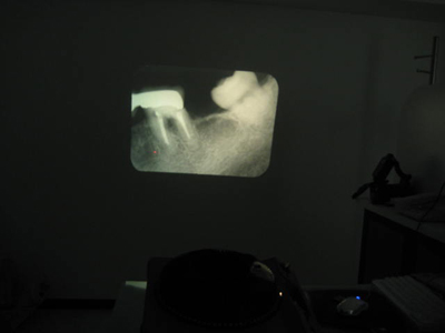 b0112648_1150649.jpg