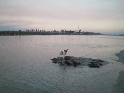 f0013255_892173.jpg