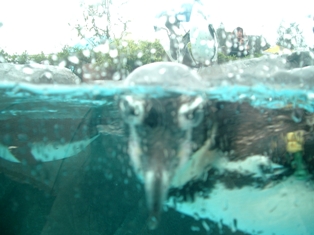 e0119056_73214.jpg