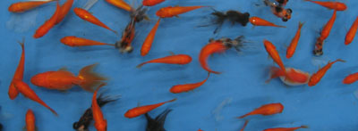 f0009457_23142976.jpg