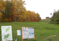 f0009457_23541255.jpg